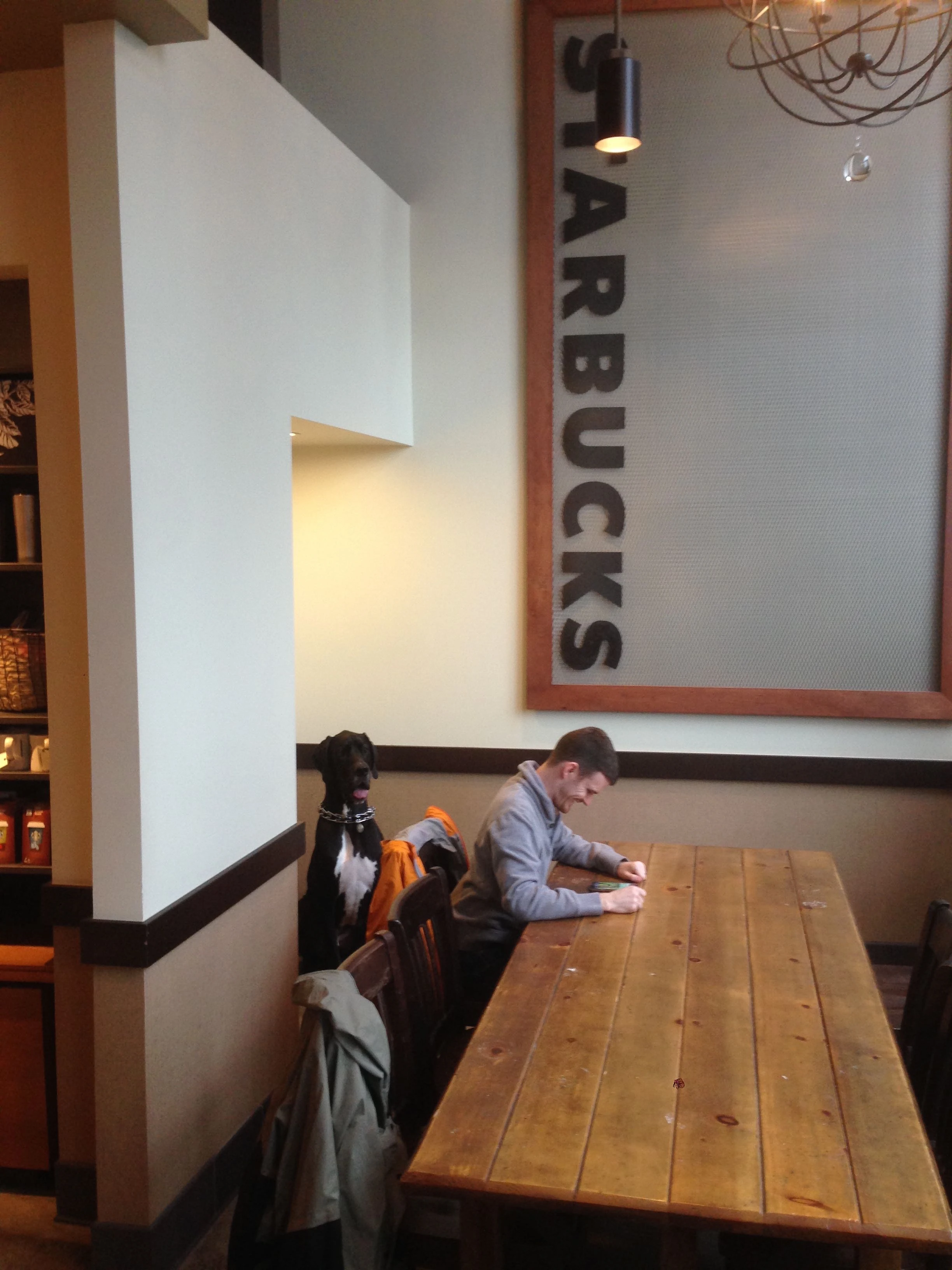 This might be the most dog friendly city I&rsquo;ve ever been to. There were at least 4 dogs in a big Starbucks, on 1st Ave, at all times yesterday.