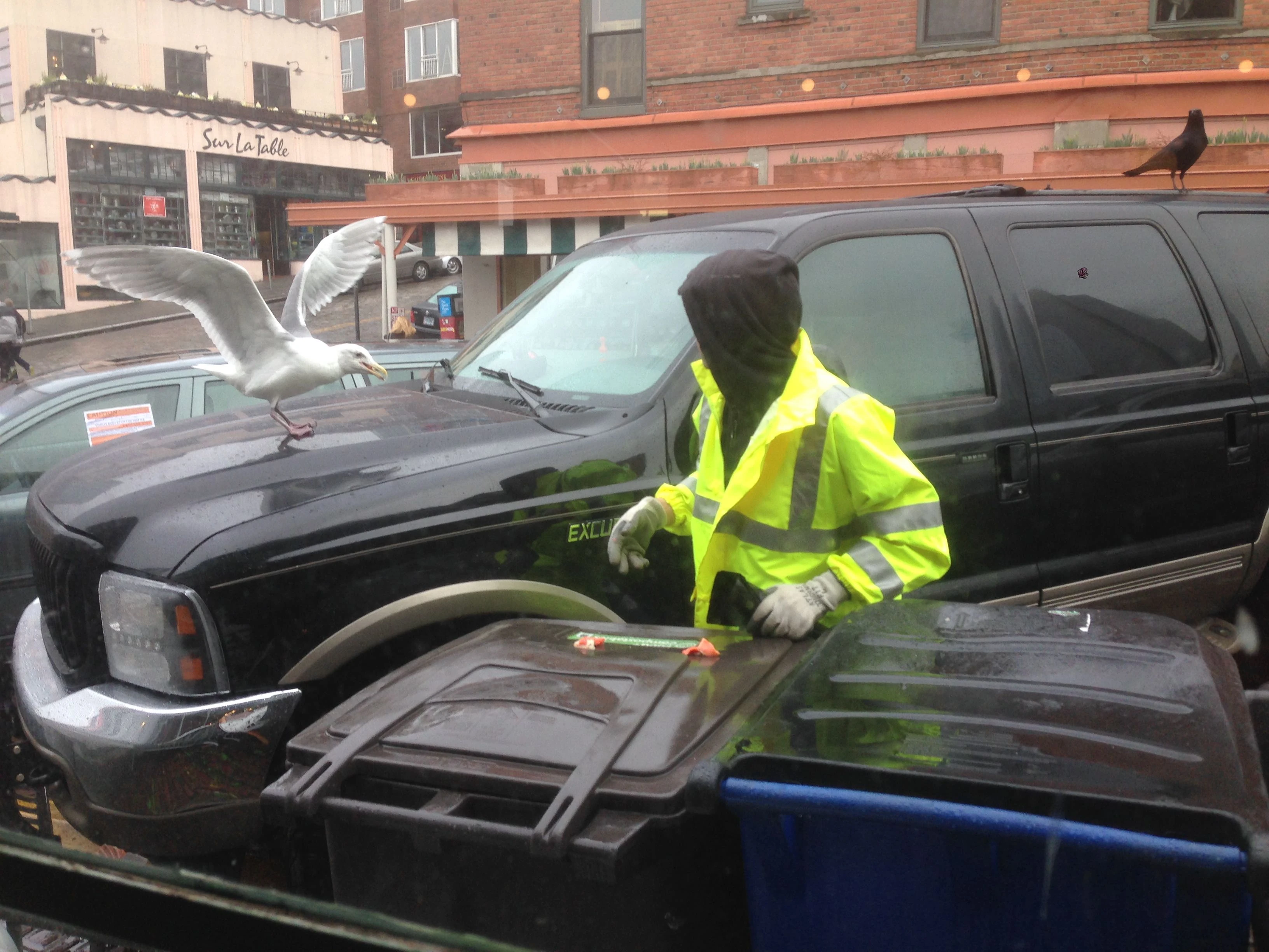 This guy was emptying the trash and when he did it he feed the seagulls.