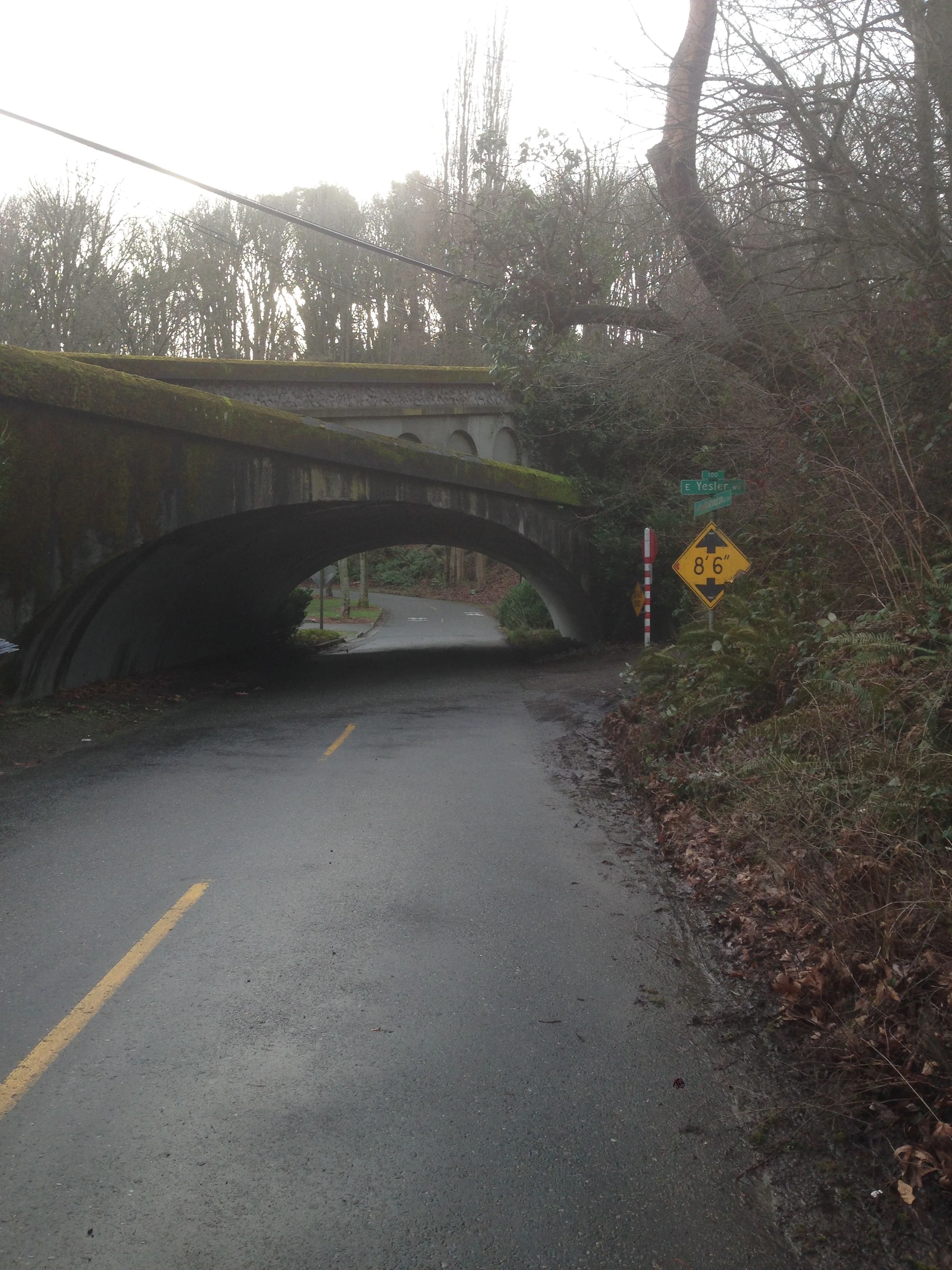 This is climbing off Lake Washington towards the I-90 bike path. I did a lap of Mercier Island yesterday. It was wet, but not raining.