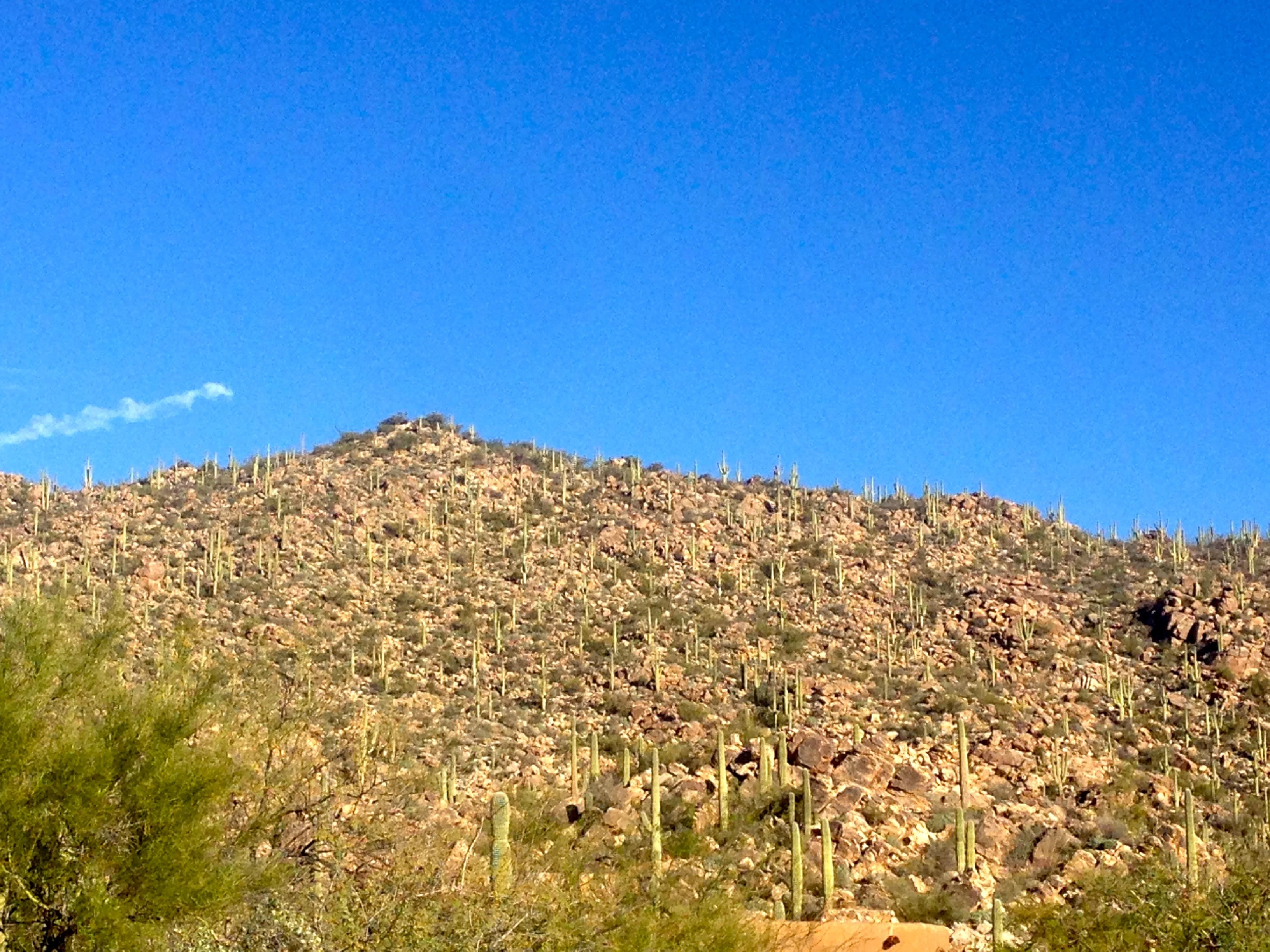 My view this morning getting out of the trailer. Pretty nice.