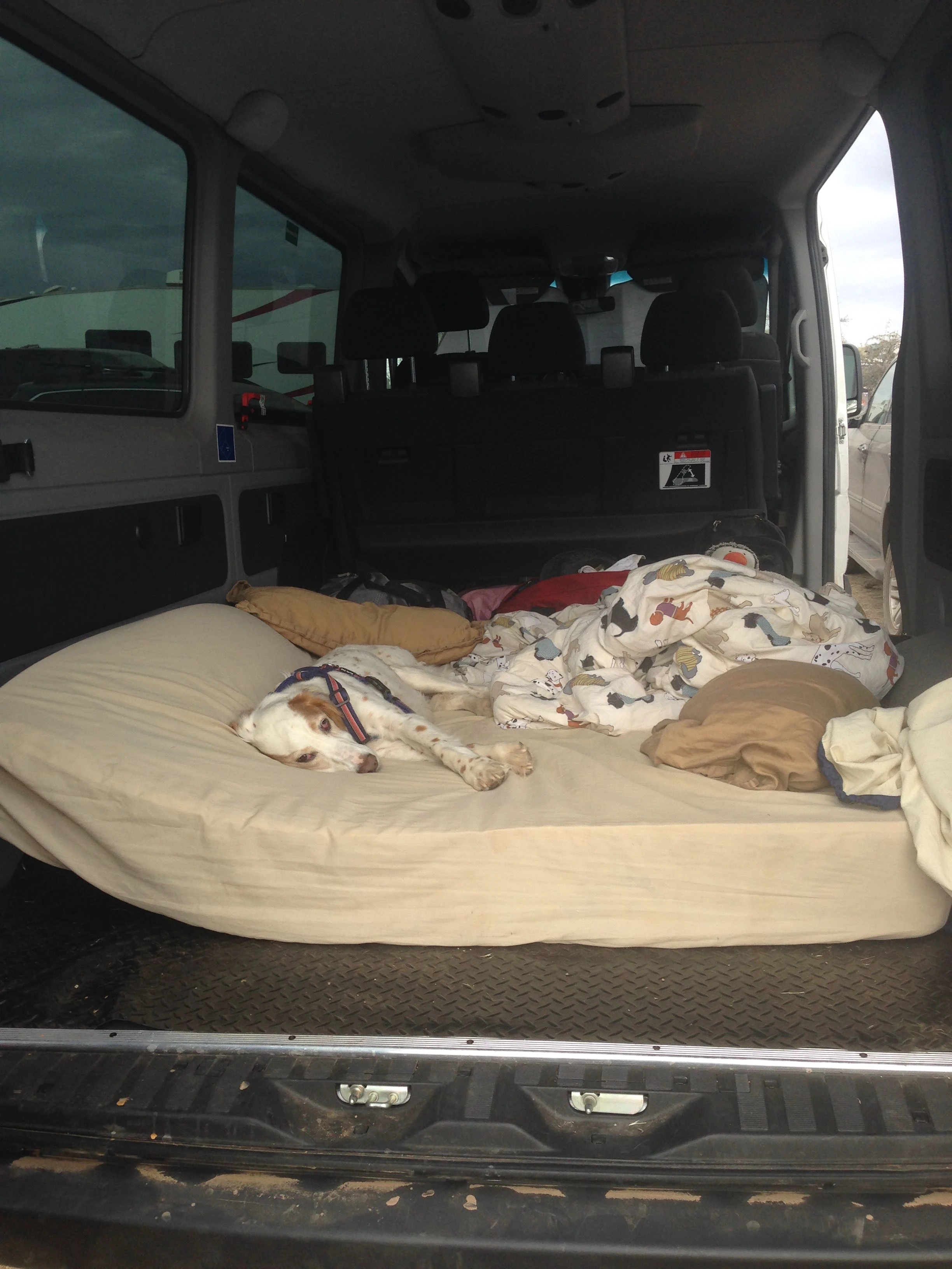 Bromont didn&rsquo;t miss a beat of sleep the whole time.