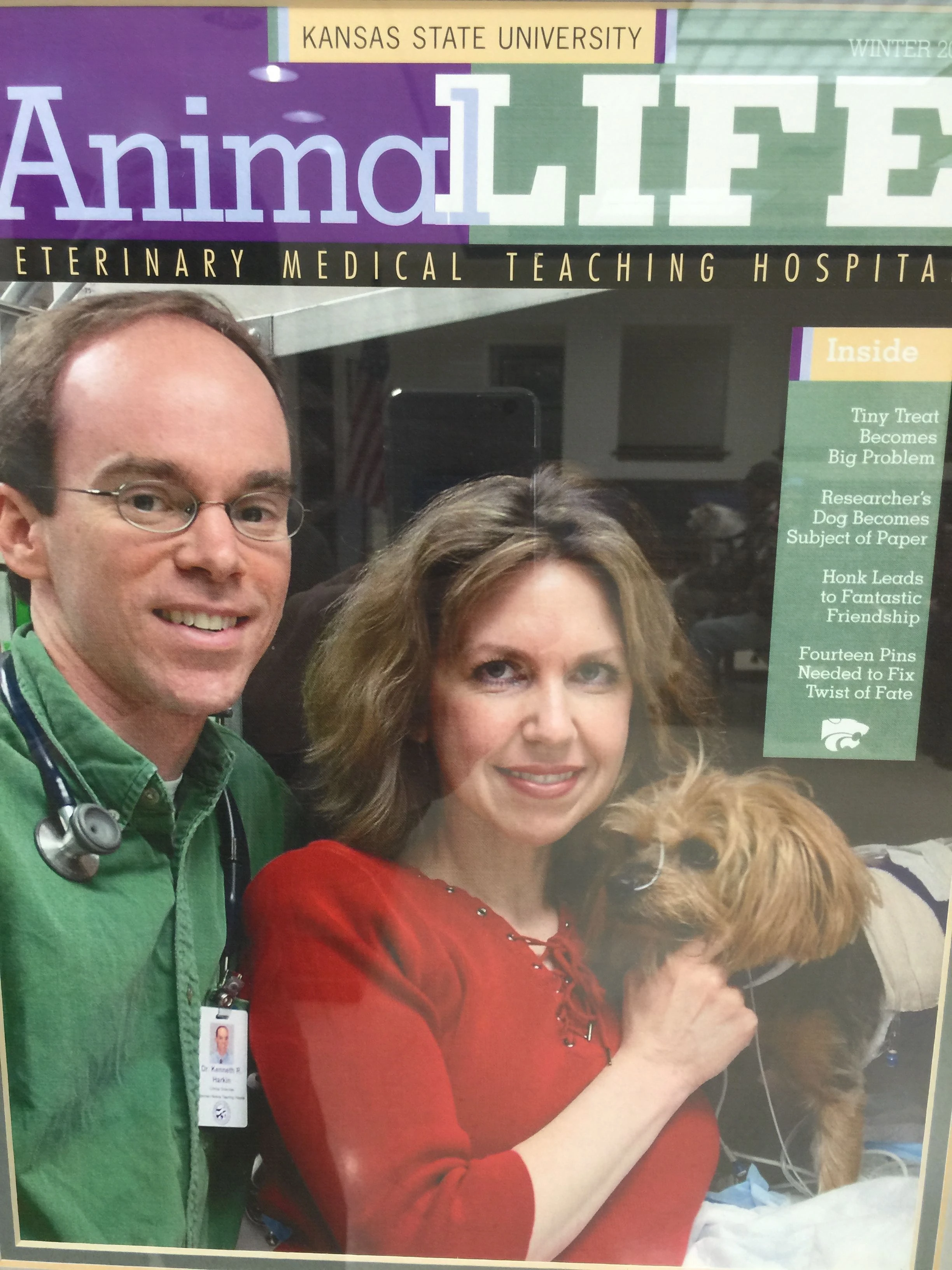 Dr. Harkin, from the wall of the K-State Vet School.