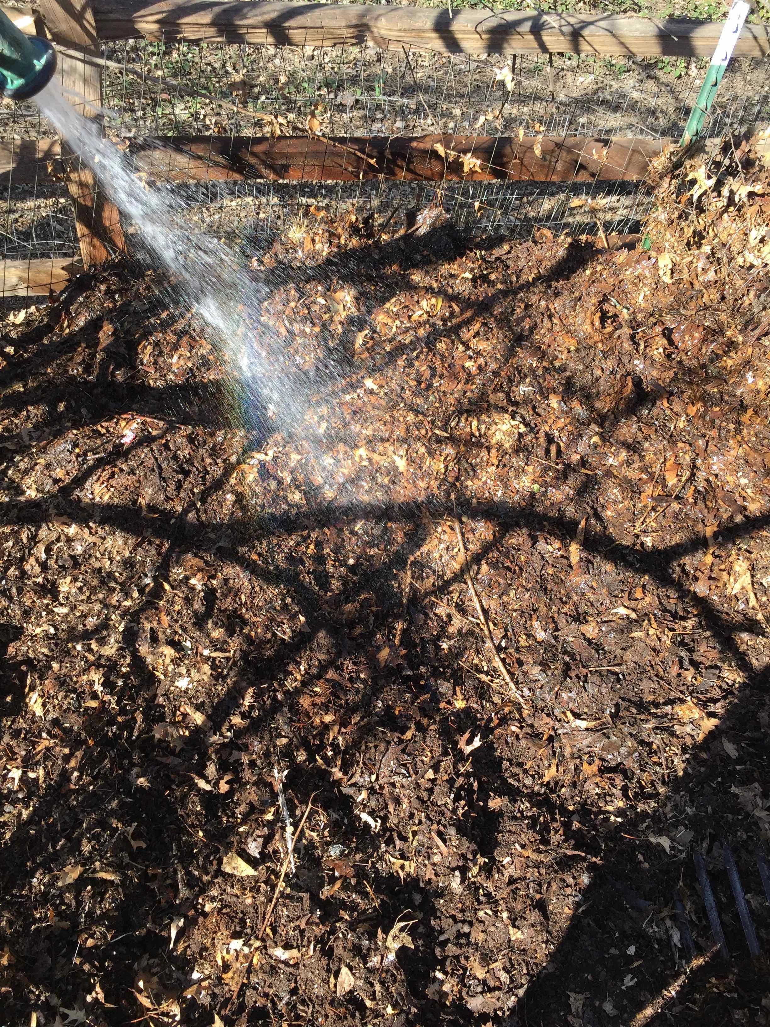 I re-did the compst pile, layering it, plus added water. It should be steaming soon.