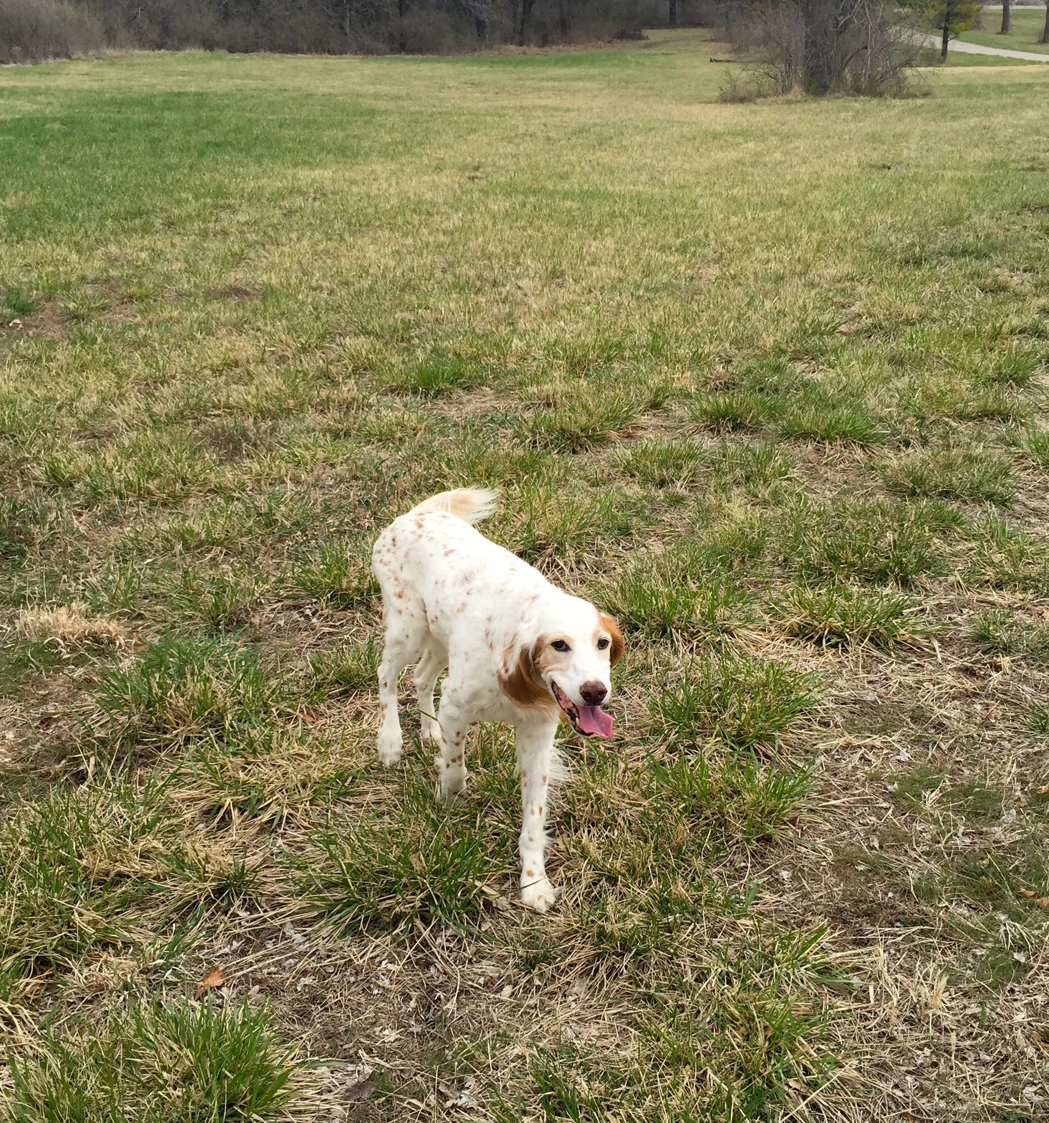 Bromont was perky yesterday. 