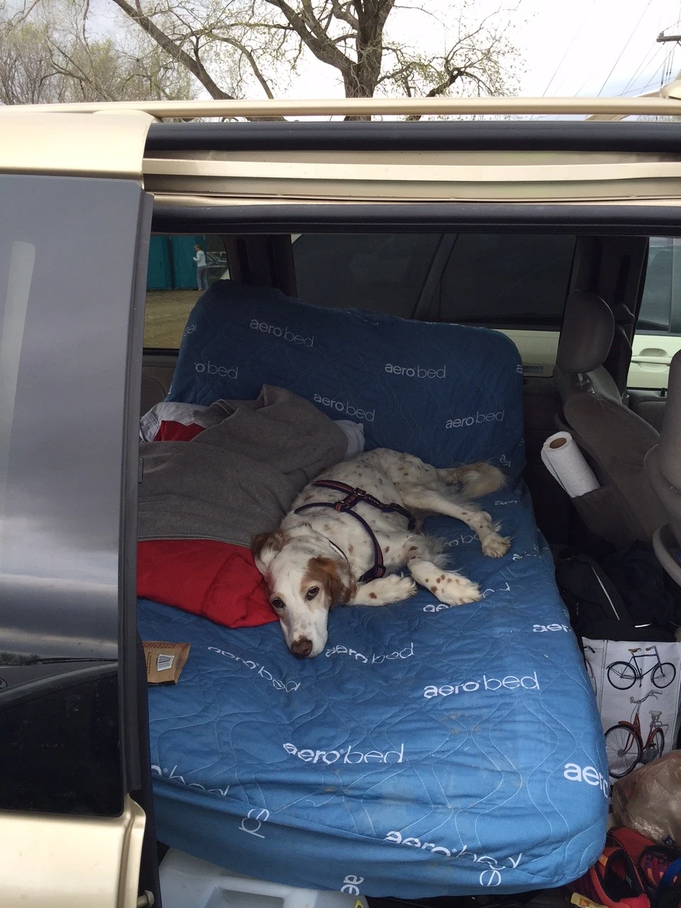 Bromont had a good spot all day.