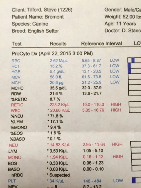 This blood test was very depressing. His blood is total shit. I hope I can do something to make him feel a little better for a short time.