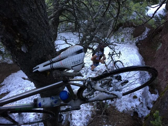 Climbing down a pine tree with my bike.