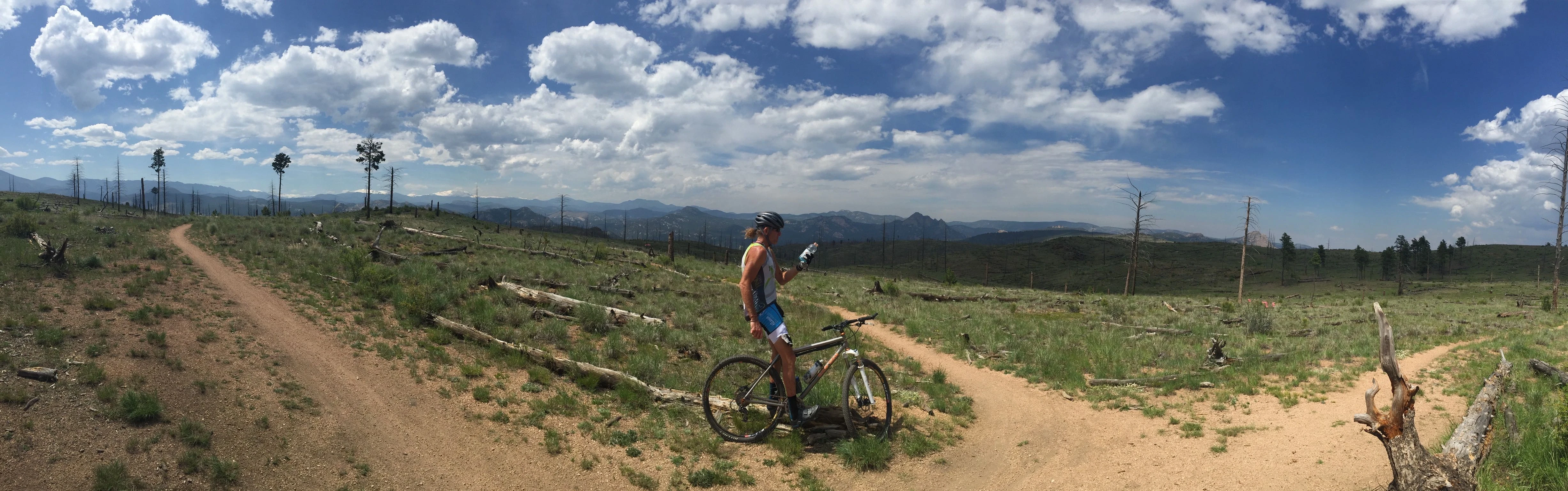 Panaromic view up at a trail junction.