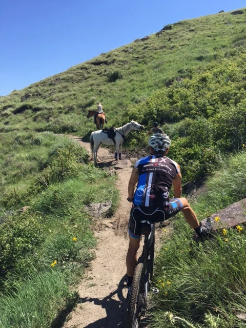 Vincent and I ran into some horses riding today.