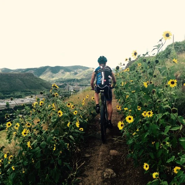 VIncent climbing up through the sunflowers. Sunflowers don&rsquo;t give much when you are descending. They can nearly rip you off your bike.