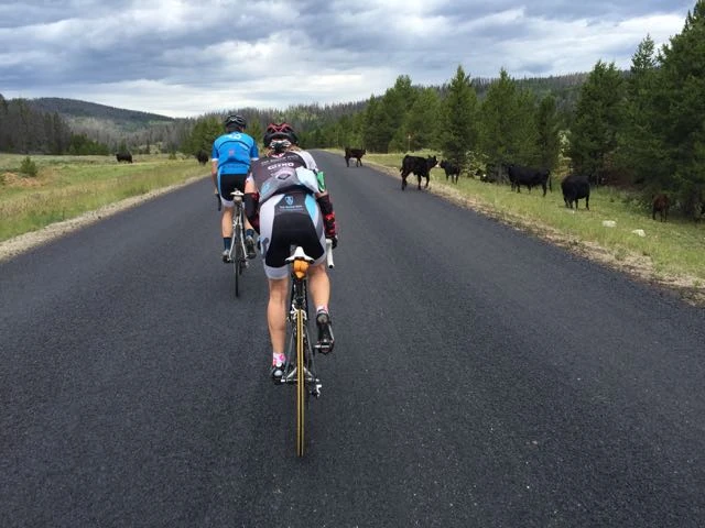 A little open range detour around Gore Pass.