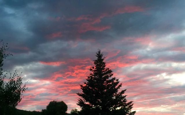 Sunset last night. It was a blue moon.