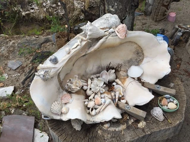 This clam shell was maybe a meter across and weighed 210 lbs. Something from the land of the giants I guess.