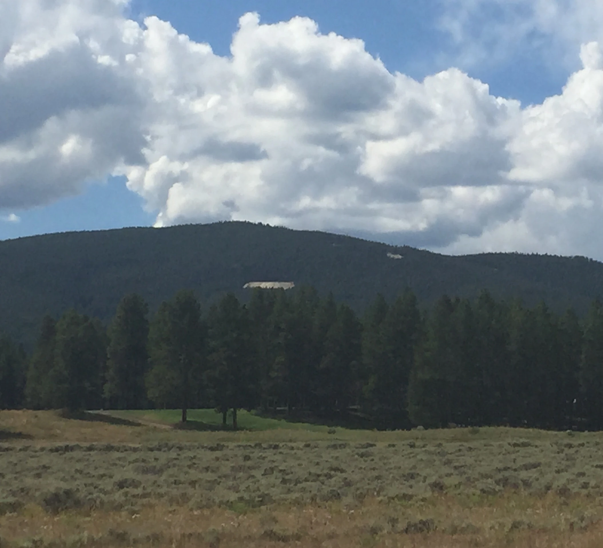 The Powerline climb connects the two open sections on this hill. They are old mine shafts.