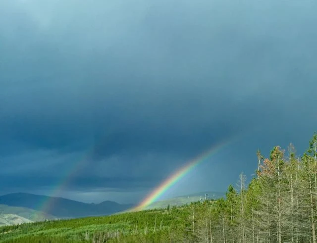 Yesterday there was a huge storm in the afternoon. I saw a beautiful double rainbow. I took it as a good luck sign.