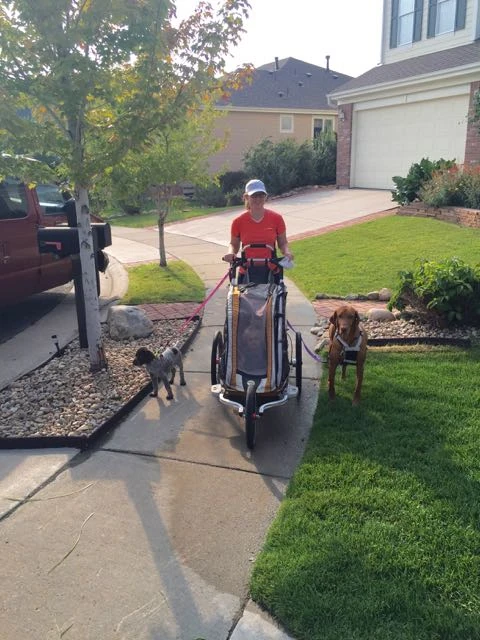 Lisa coming back from a walk with Jack, the puppy Nick, and Petra in the stroller. 