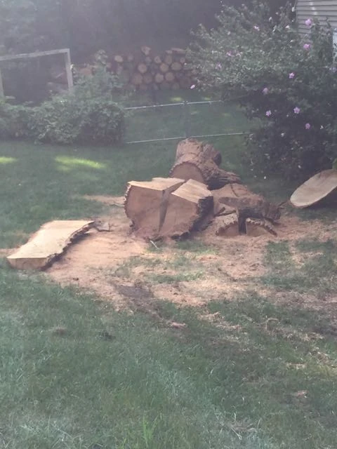 Neighbor that cut the tree to make it into dimensional lumber.
