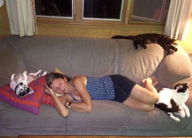 The pets tend to migrate to whereever Trudi is at.