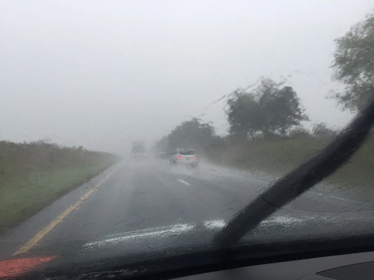 My view most of the day.