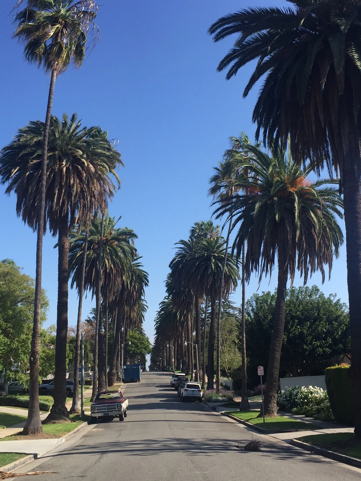 What most people would considering a typical LA street. This is up by Santa Moncia.