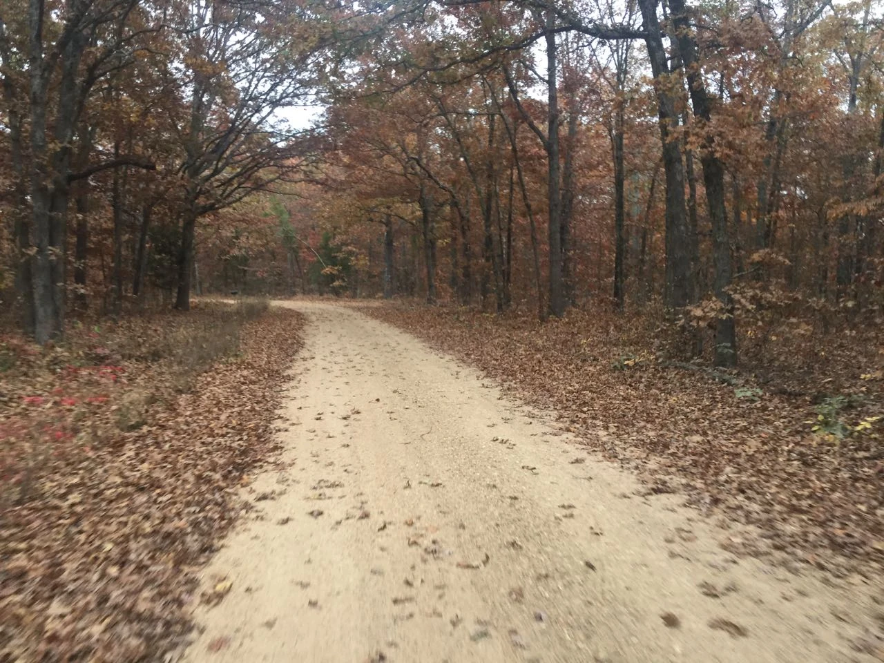 The whole course is going to be deep covered in leaves.