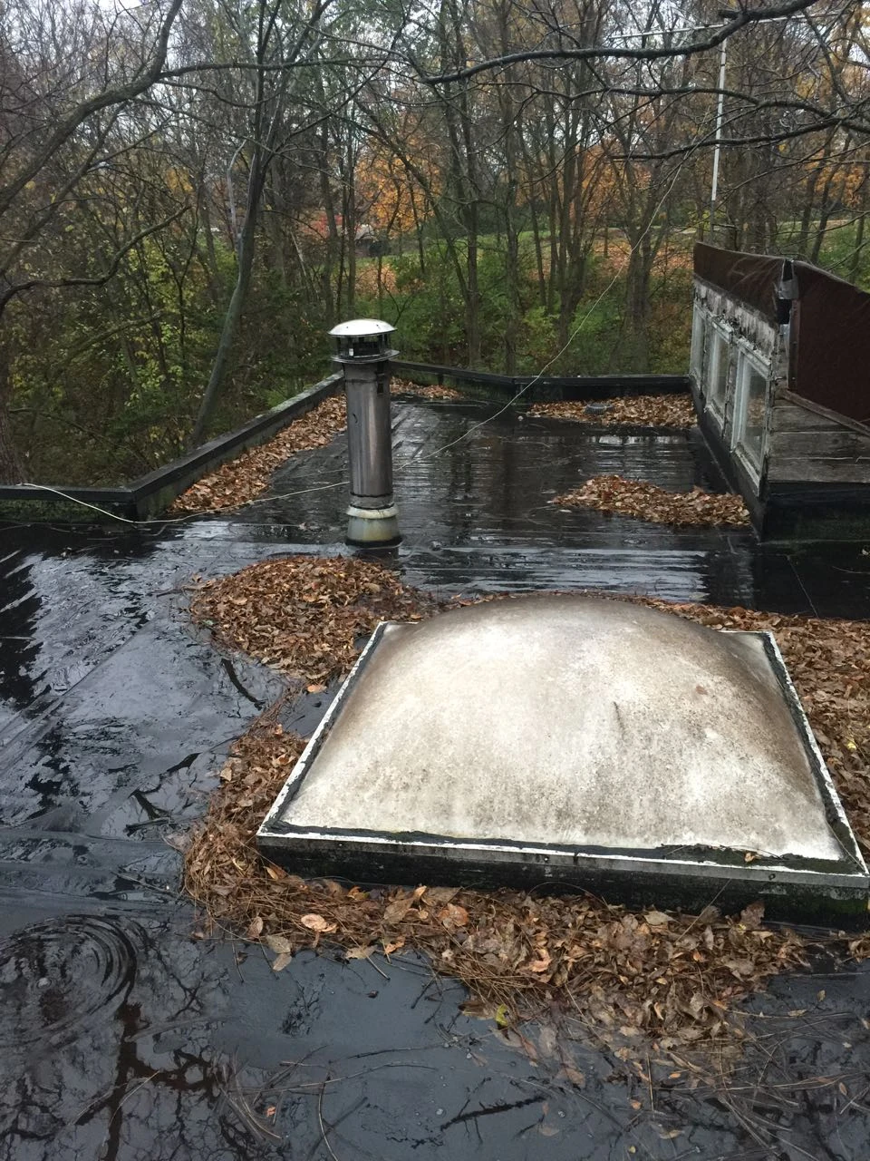 The roof was actually in better shape than I had anticipated. The insulation under the rubber is really the issue.