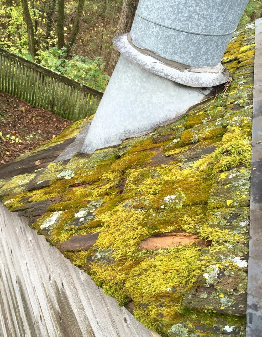 Some of the other sections of roof amazingly doesn&rsquo;t leak. 