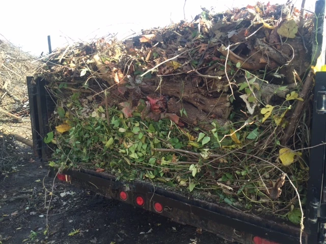 I get a lot in before I head to the vegetation dump.