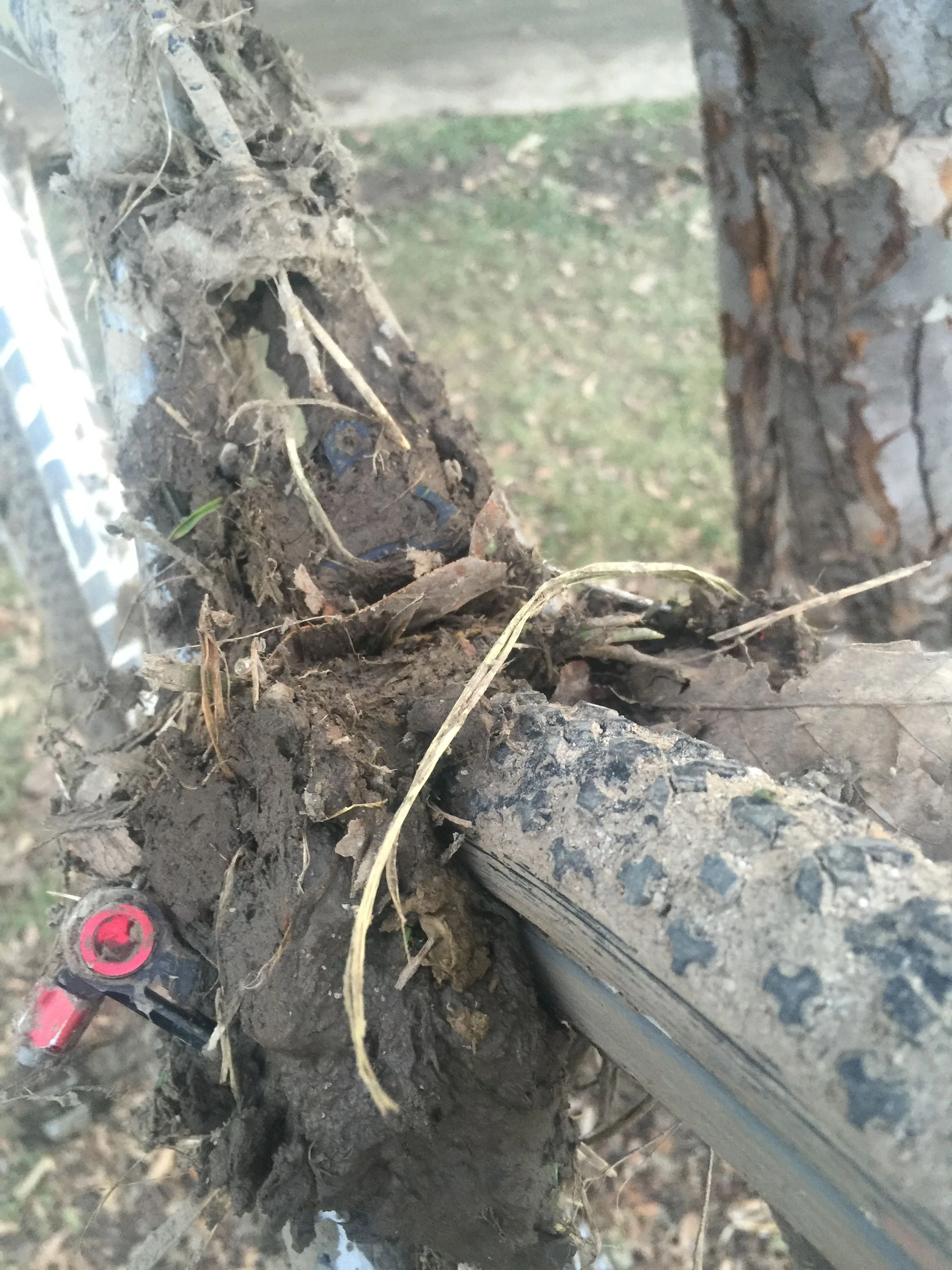 Close up of the brakes on it. There were a lot of seized up bikes and broken rear derailleurs today. 