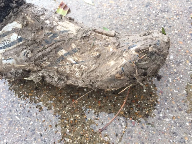 Just after one lap. Pretty mucky.