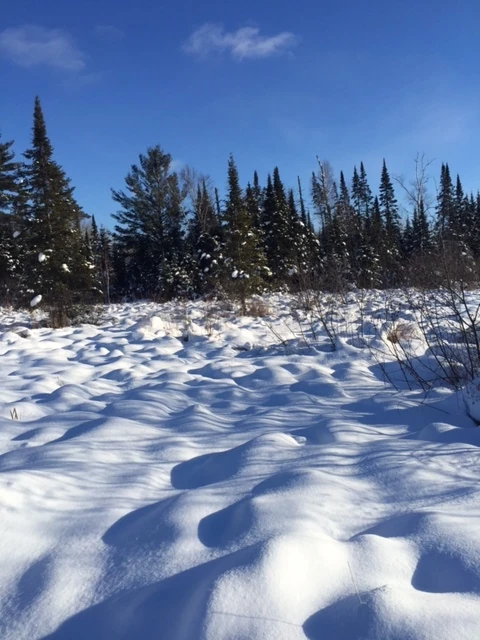 There is lots of fresh snow to roll in there.