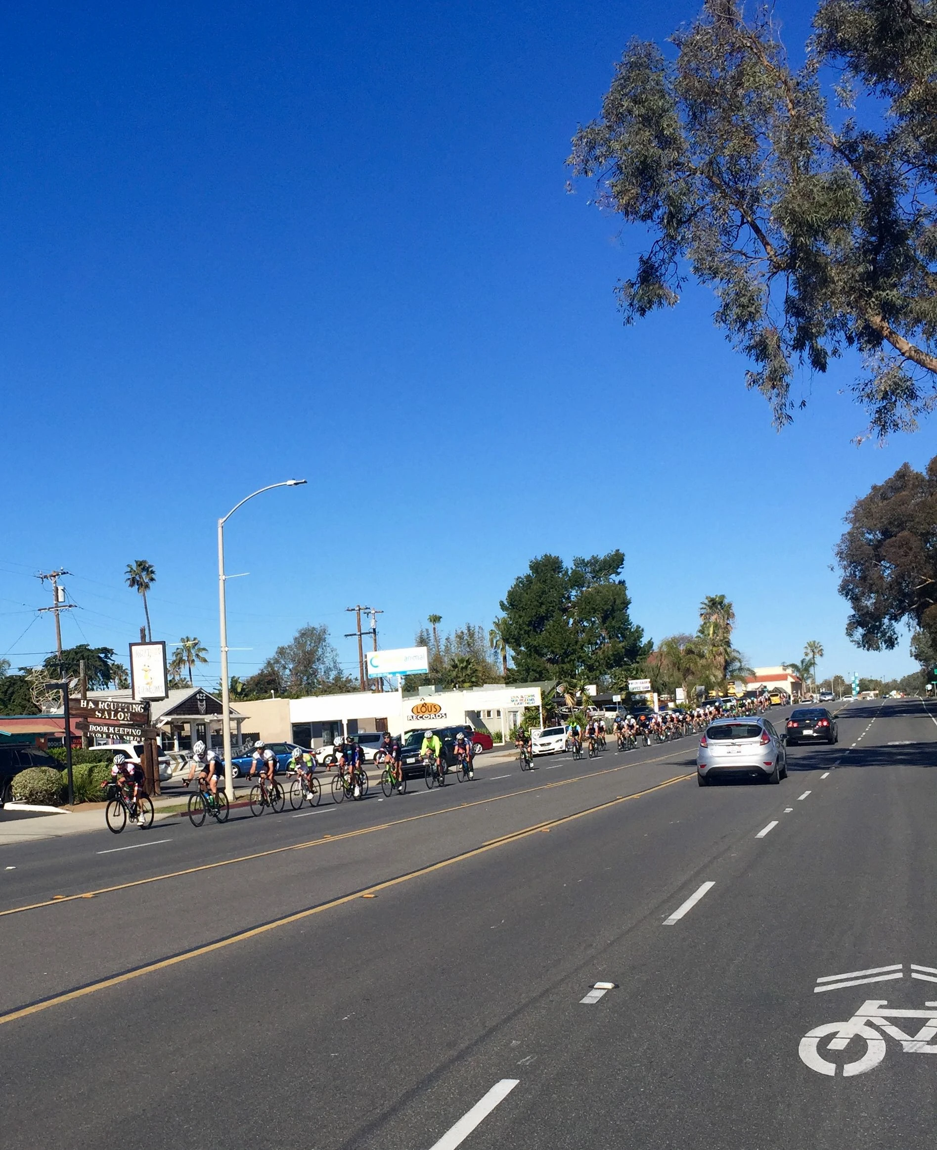Just one of the huge groups heading down the coast.