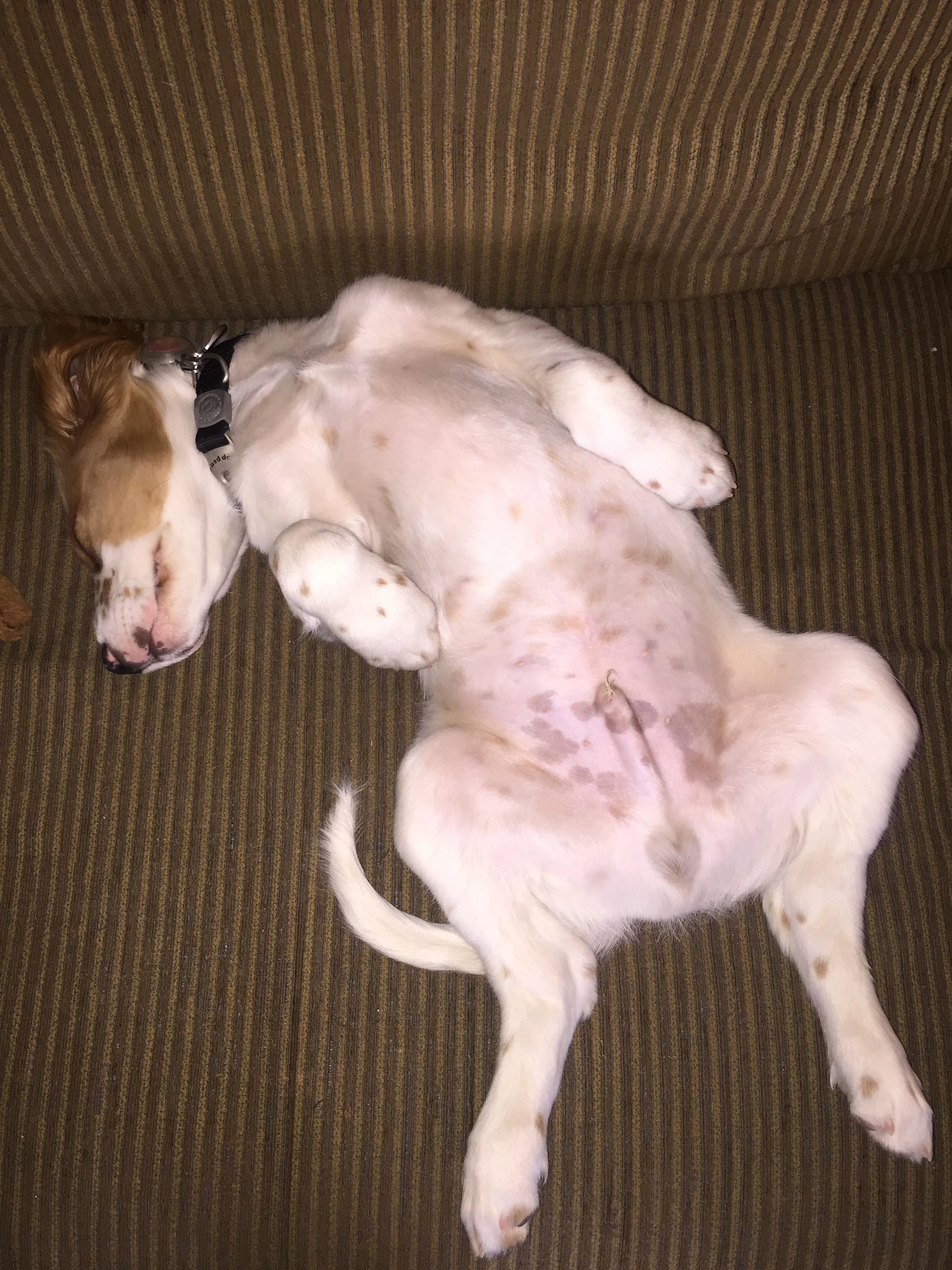 Tucker being an exobitionist.