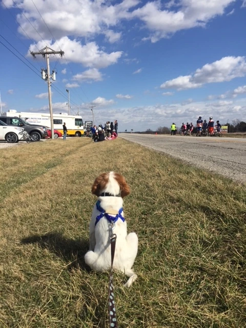 Tucker waiting for the sprint.