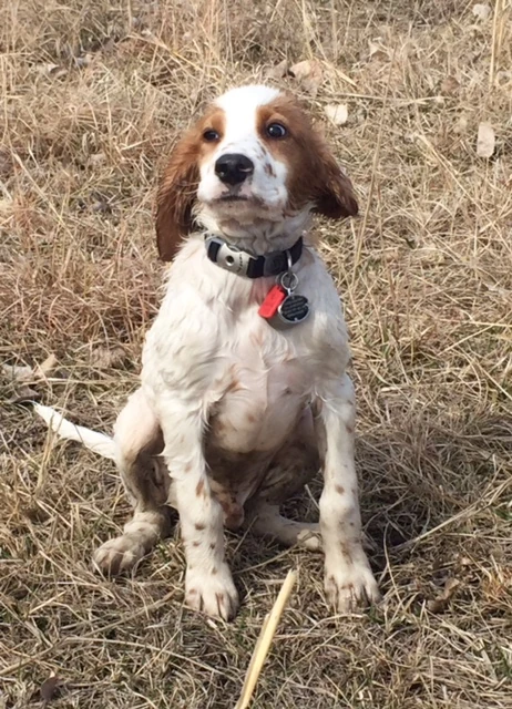 He got a little cold and wasn&rsquo;t sure about it. Tucker has now been around a month and he has been a super friend.