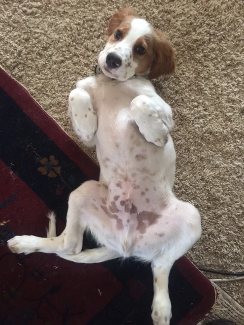 Almost forgot Tucker’s picture. He had to remind me.