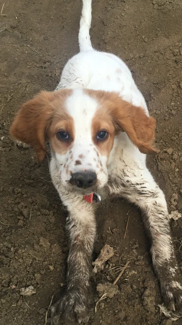 Tucker doesn&rsquo;t mind getting a little muddy.