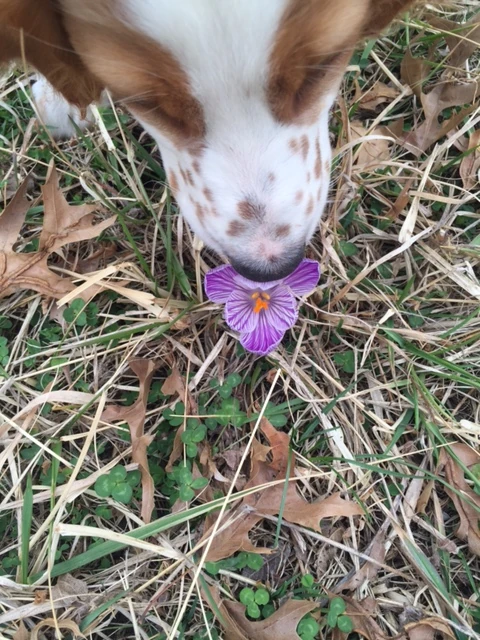 I showed it to Tucker. He was pretty interested.