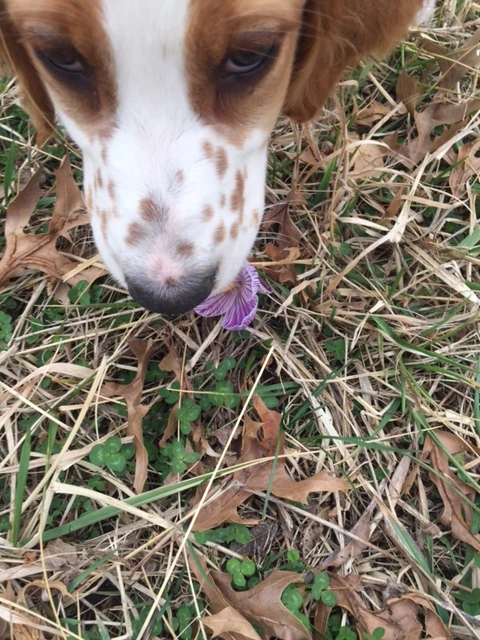 Then, of course, he ate it.