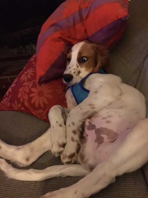 Tucker has some pretty crazy sitting positions.