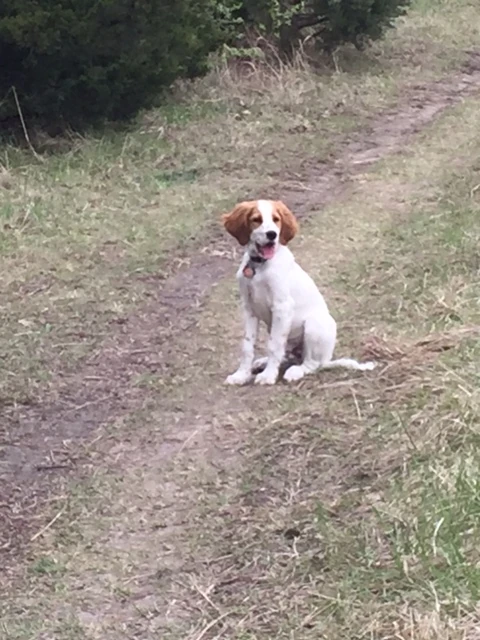 He’s a pretty happy puppy.