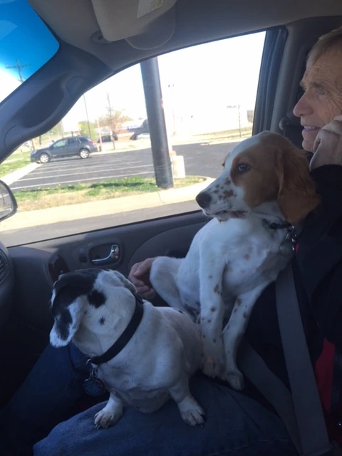 Frankie and Tucker on Dennis&rsquo; lap heading over to the trails to walk.