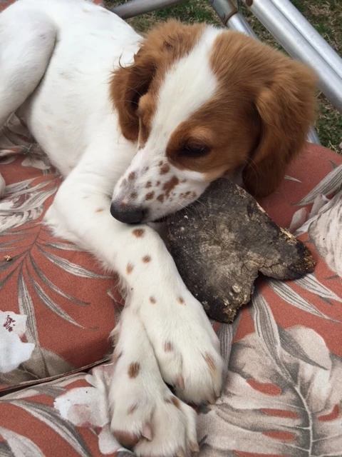 But, Tucker needs his alone time now that he is a teenager.