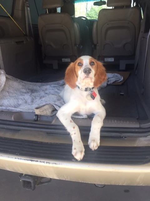 Tucker at the car wash.