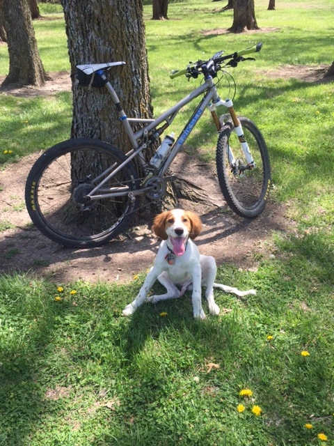 Tucker did his first trail run with me on a bike. He loved it. 