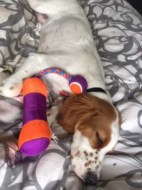 But, he is a baby and sleeps a ton.