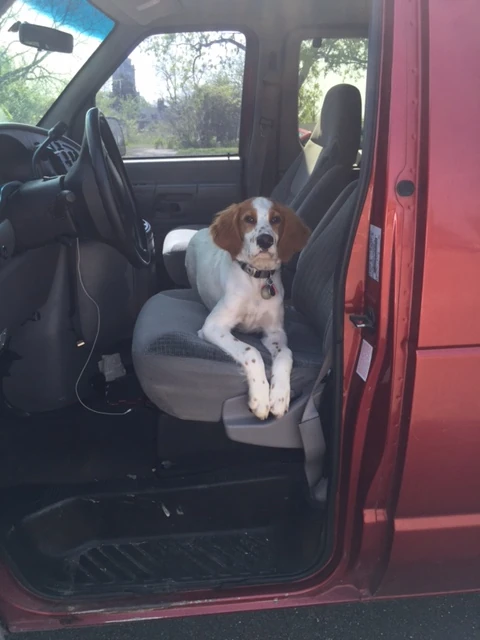 Tucker loved the whole weekend, but he doesn’t yet quite understand how races are scored because he’s a puppy. The officials don’t have that excuse.