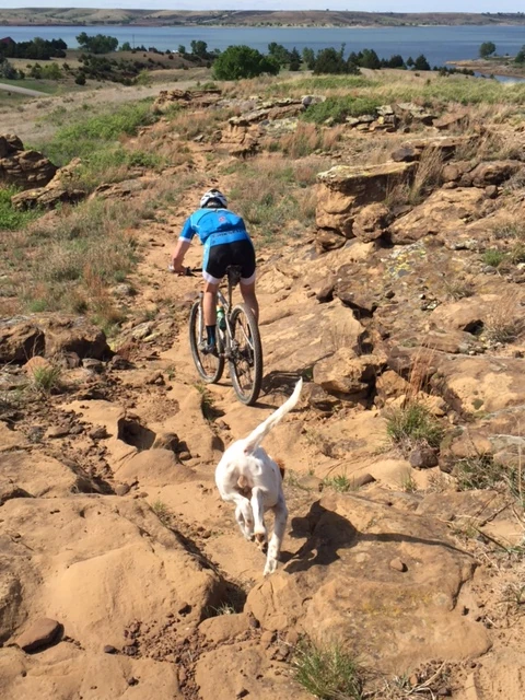 Tucker liked being in between us, which was fine by me.