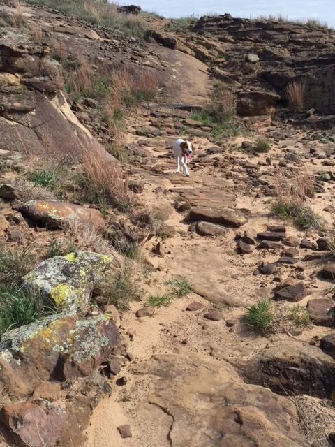 Tucker was wondering why we weren&rsquo;t faster. The picture doesn&rsquo;t do it justice. The trail is steep.
