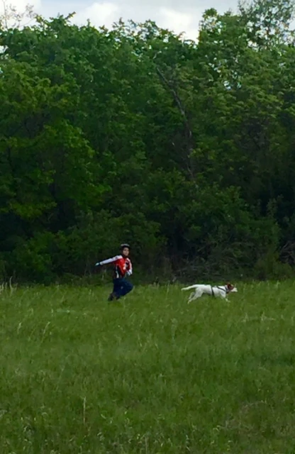 Finn, Shadd Smith&rsquo;s son, was dog sitting again yesterday. I saw Tucker pulling him all over.